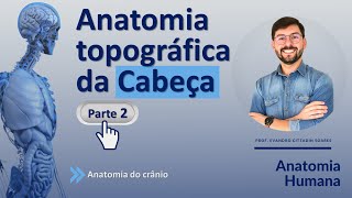 ANATOMIA TOPOGRÁFICA DA CABEÇA - PARTE 2