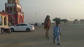 Islamabad landscape like beauty of Thar Sind