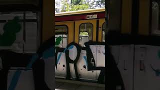 #alleswassiewill#berlin#traingraffiti#sbahn#dasistberlin#liebe#graffiti