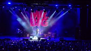 Mr. Big - To be with you (Buenos Aires 2024)