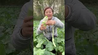 Watch me a satisfaying videos of agriculture growing fruit, vegetable, carrot, corn, onion etc 28