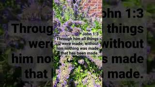 Bible verse about nature #shorts #bibleverse #bibleverseoftheday