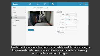 Configuración de visualización de la cámara en NVR (cámara de doble luz)