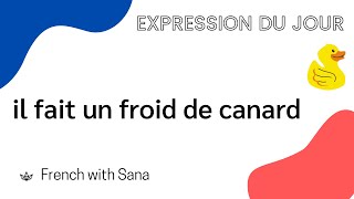 French expressions : il fait un froid de canard