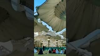 The world beautiful place🔥open umbrella♨viral video🔥youtube shorts