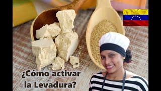 ¿Cómo activar la levadura frasca o seca? Paso a Paso 👩‍🍳🥯🍕🍞🍴