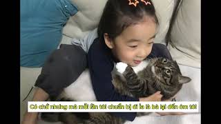 Câu chuyện cái tay thơm của mèo || #cats #shortvideo #shorts #homepet #pets #dog #mèo #chocolate