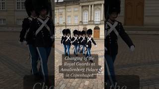 Changing of the Royal Guards at Amalienborg Palace in Copenhagen