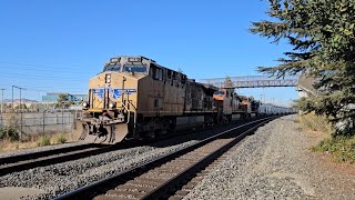 Coast Starlight train 11 with 3 helper locomotives! BNSF and UP