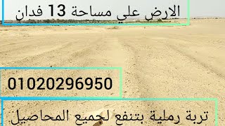 ارض بكر للبيع على مساحة 13 فدان فالواحات البحرية بملف تقنين  تبعد عن طريق مصر الواحات 8 ك