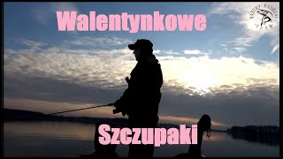 Szczupaki oszalały w walentynki!