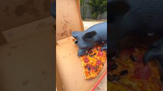 What Happens When She Sees a Mouse Eating Pizza?