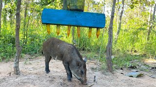 Best Creative Wild Pig Trap Using Wood #animaltrap #shortvideo