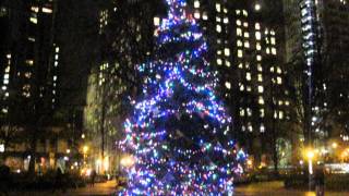 Moon Over Madison Square Christmas Tree