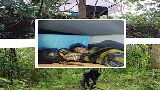 24 Hours Survival Alone In Rainforest: build a shelter in rain, Sleep With Sound Of Rain