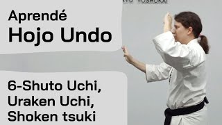 Uechi Ryu Hojo Undo  - Shuto Uchi, Uraken Uchi, Shoken Tsuki