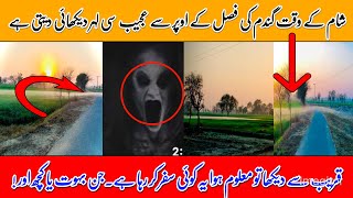 گندم کی فصل کے اوپر عجیب مخلوق کا سفر | جن یا کچھ اور | SR_Vlogs