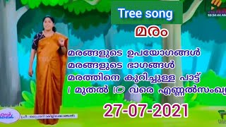 tree song