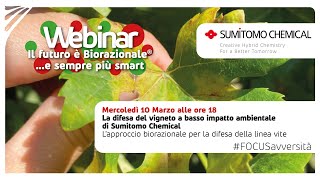 La difesa del vigneto a basso impatto ambientale secondo Sumitomo - Il futuro è Biorazionale®