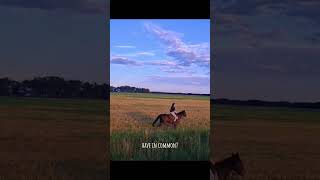 Dutch girl, Morgan Horse and Manitoban Sky🤩