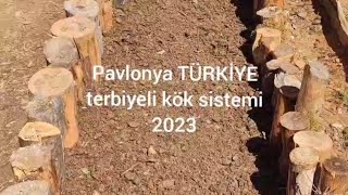 Tüm bitkiler için toprak zenginleştirme yöntemi sonuçlar çok olumlu