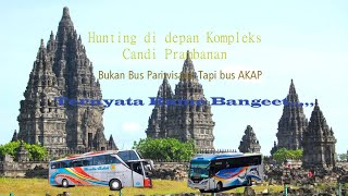 Hunting didepan Candi Prambanan, Bus Jalur Utara dan Selatan Lewat Sini - Dominasi Rosalia Indah