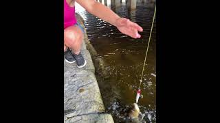 Jerkbaiting for Peacock Bass! #youtubeshorts #fishing #fishingvideo #bassfishing #shorts