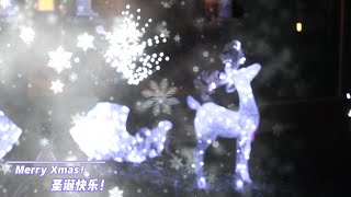 Merry Xmas!  五颜六色的灯光照亮平安夜，愿各位圣诞快乐，新年平安健康！