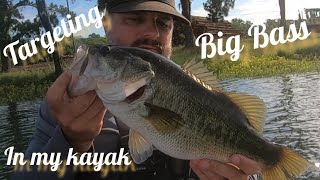 Targeting Big Bass in a Kayak