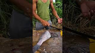 Fastest Tilapia fish cutting skill in the world 🐟 #shorts