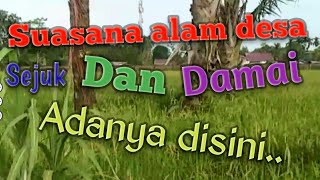 Alam desa ll Susana alam desa ll Sejuk alam desa