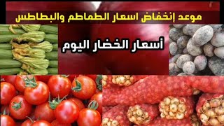 نقيب الفلاحين يكشف موعد انخفاض اسعار الطماطم والبطاطس.