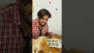 Boys vs dog school #comedy #funny #doglover #rohitpatel66 #sajidfam #adventuresport #dog #comedysaji