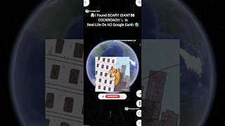 🤯i Found SCARY😱 GIANT COCKROACH🪳 in Real Life👀On google earth map 🌎 zooming short #shorts #ytshorts