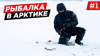 ПОСЛЕДНЯЯ В ЭТОМ ГОДУ ЗИМНЯЯ РЫБАЛКА В АРКТИКЕ. КОЛЬСКИЙ БЕЛОЕ МОРЕ. ПОДЛЁДНАЯ РЫБАЛКА. ЧАСТЬ 1