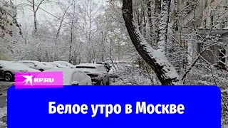 В Москве выпал первый снег