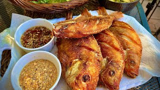 Fried red tilapia with Cambodian tamarind sauce