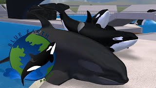 Whale of an update! -Blue Earth Aquariums- (Zoo tycoon 2)