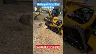 Stump grinding