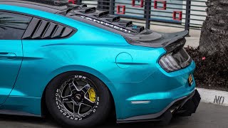 Installing A Full Carbon Trunk 2018 Mustang GT / Girlfriend Drives the Boosted Stang On Skinnies