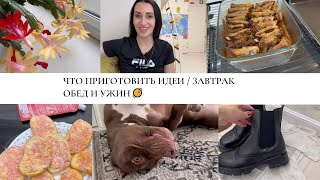 ЧТО ПРИГОТОВИТЬ ИДЕИ / ЗАВТРАК ОБЕД И УЖИН 🥘