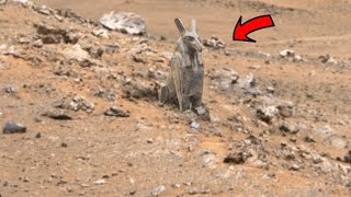 Breathtaking New Footage of Mars Planet: Perseverance Rover Release Stunning Landscape of Mars 1310