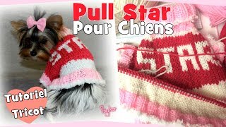 Tutoriel Tricot: Petit Pull Star pour chiens DIY