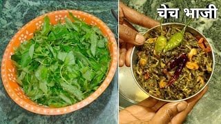 चेच भाजी बनाने की रेसिपी | chech bhaji recipe | चेच भाजी कैसे बनाते हैं | छत्तीसगढ़ की भाजी |