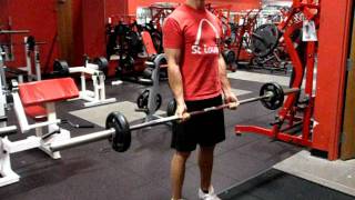 Curl - Barbell Medium Grip