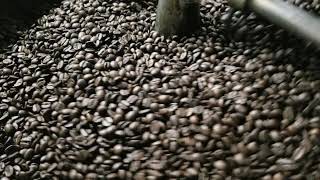 Fresh Coffee Beans