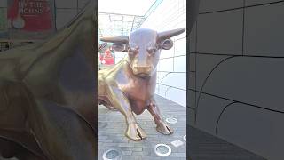 The Bull | Birmingham #shortsvideo #shortsfeed #shortsviral #shortvideo #shortsyoutube #shorts