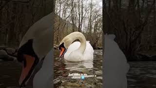 Lake District UK /Short video/,2023 #cinematic #nature #cave #gopro11black