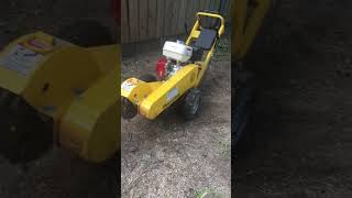 What stumps , I don't see any stumps here I After I 2 stumps I stump grinding I Houston , Texas