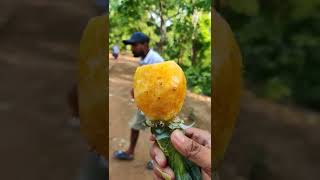 pineapple  in Rangamati